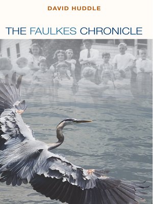 cover image of The Faulkes Chronicle